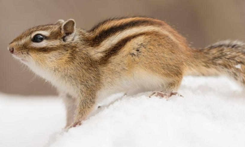 上海泽宇智能科技有限公司轮播图1